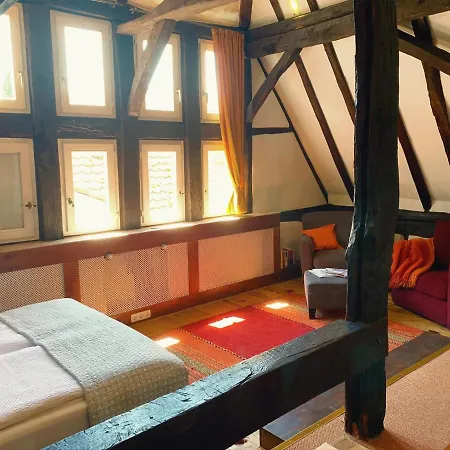 Διαμέρισμα Historische Ferienwohnung Mit Klimaanlage Und Kamin In Lich Lich